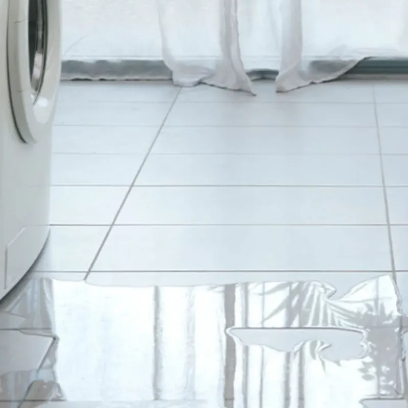 Appliance Leak Cleanup in Howard County, TX