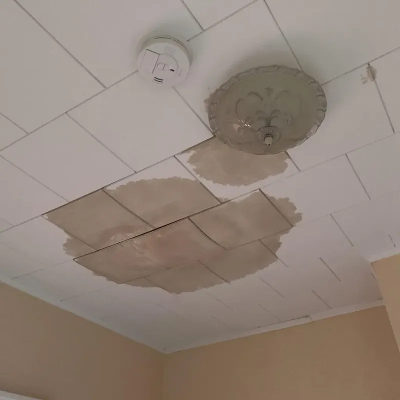 Ceiling Water Damage Repair in Howard County, TX
