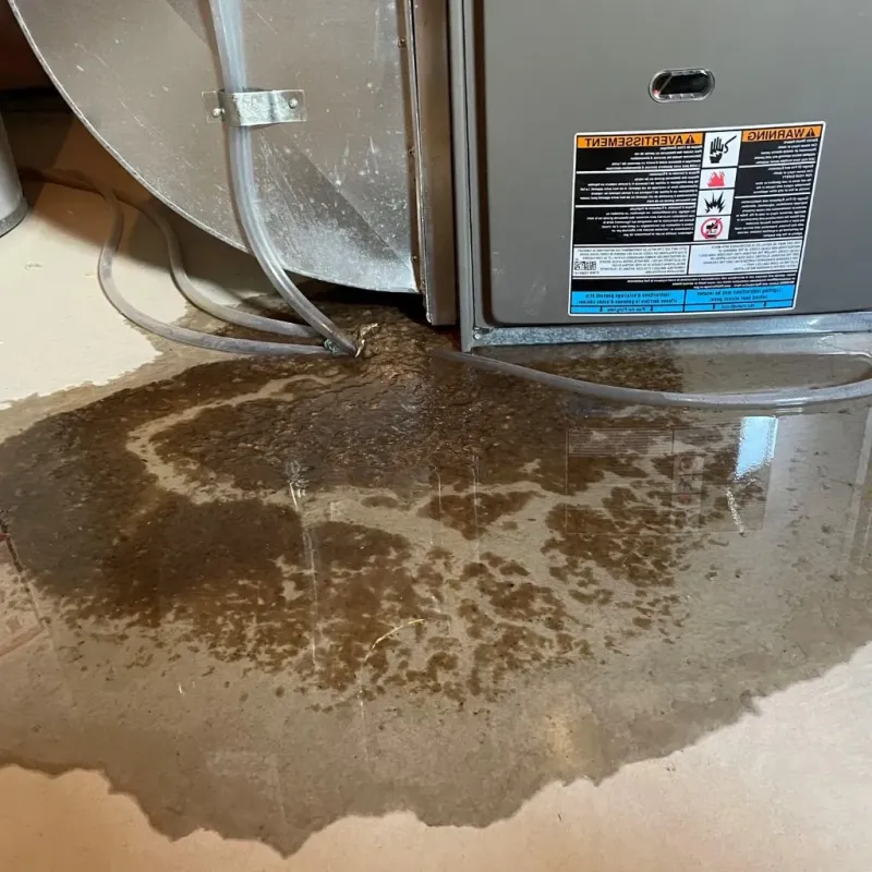 Pipe Burst and Leak Restoration in Howard County, TX