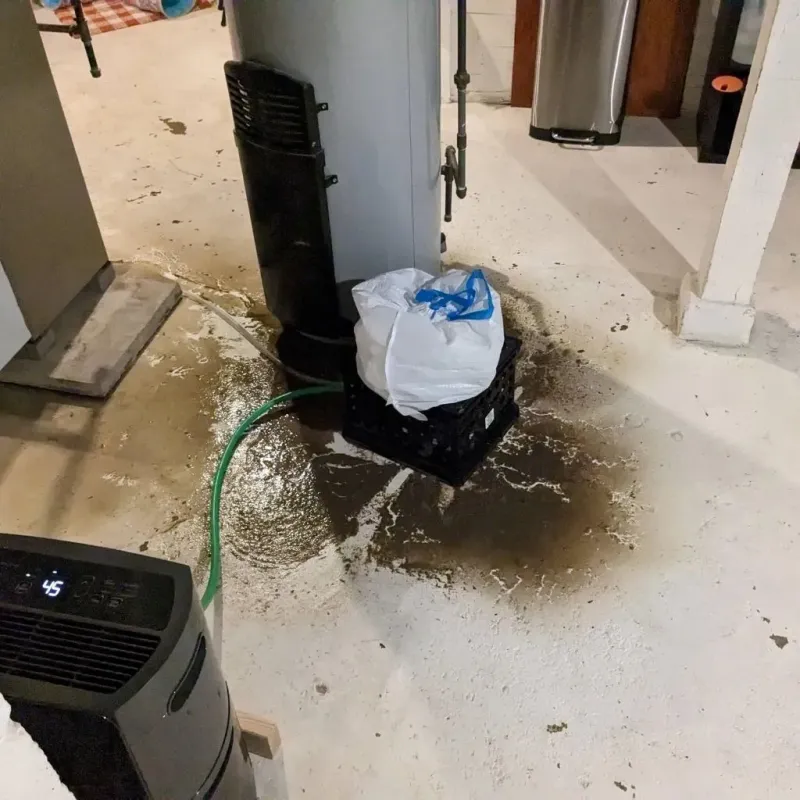 Sewage Backup Cleanup Service in Howard County, TX